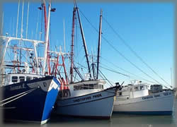 Cape May fishing boats are not only a source of wonderful fresh seafood but also a scenic delight!